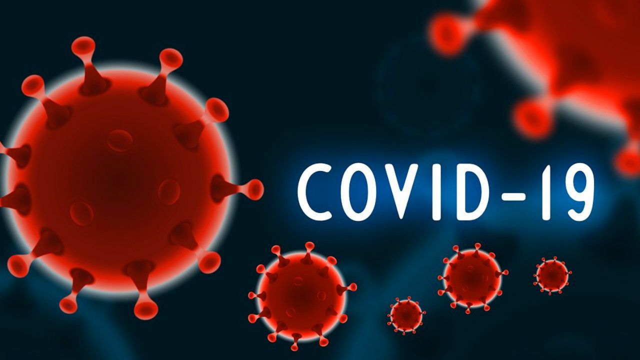 COVID-19 Survival Video